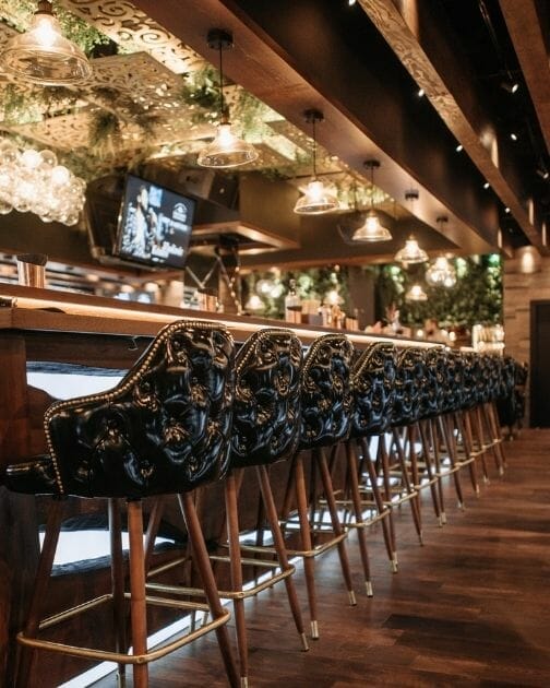 Leather bar chairs lined up along a bar 