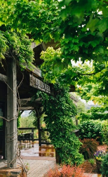 Skinner Vineyards entrance filled with lush greenery